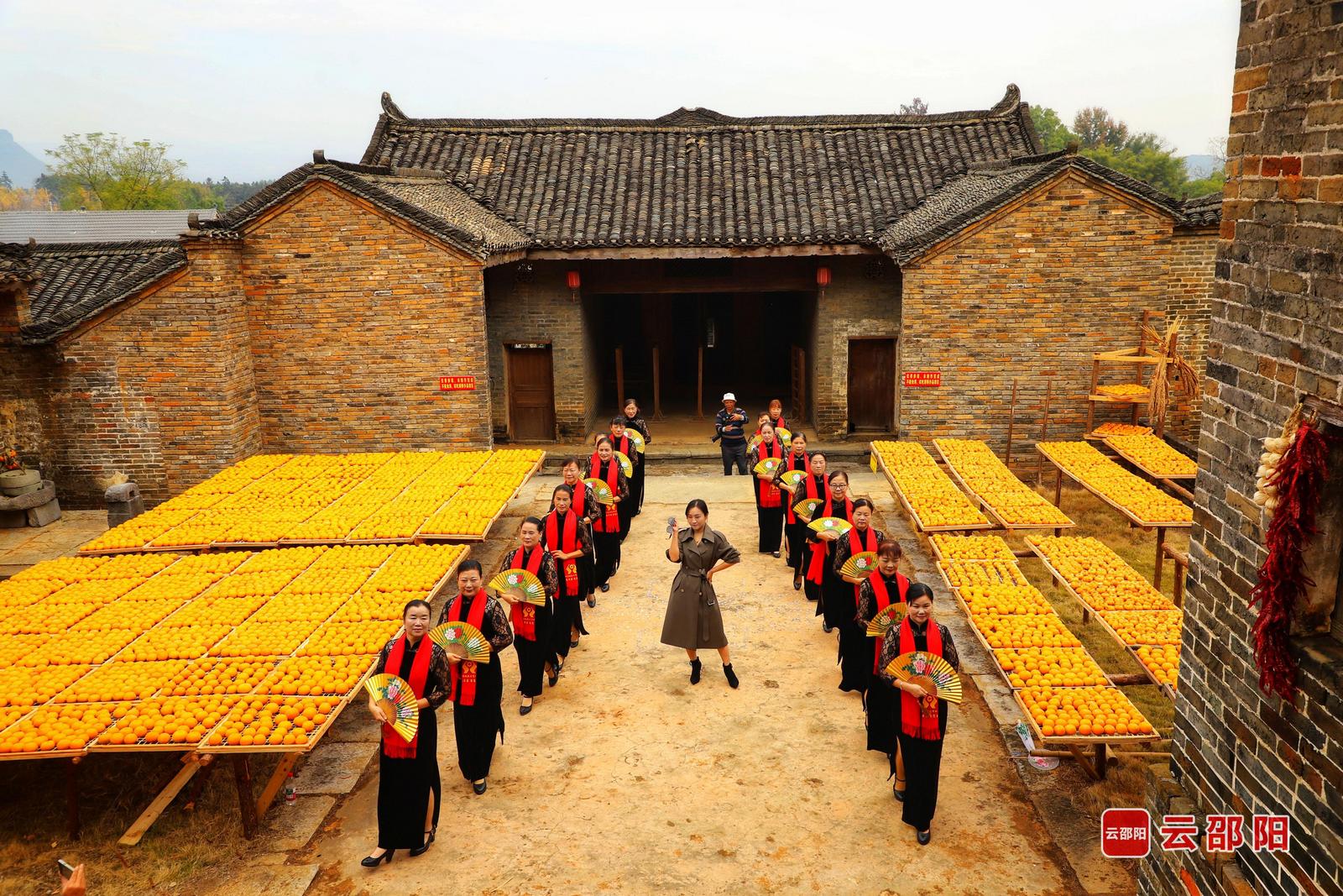 《走向“柿”界》张素虹 摄