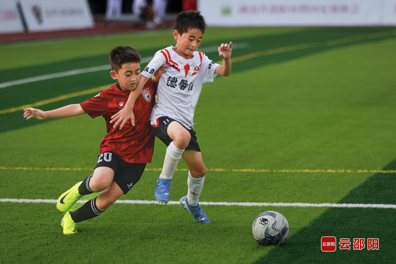 《绿茵梦》 张甲平 摄