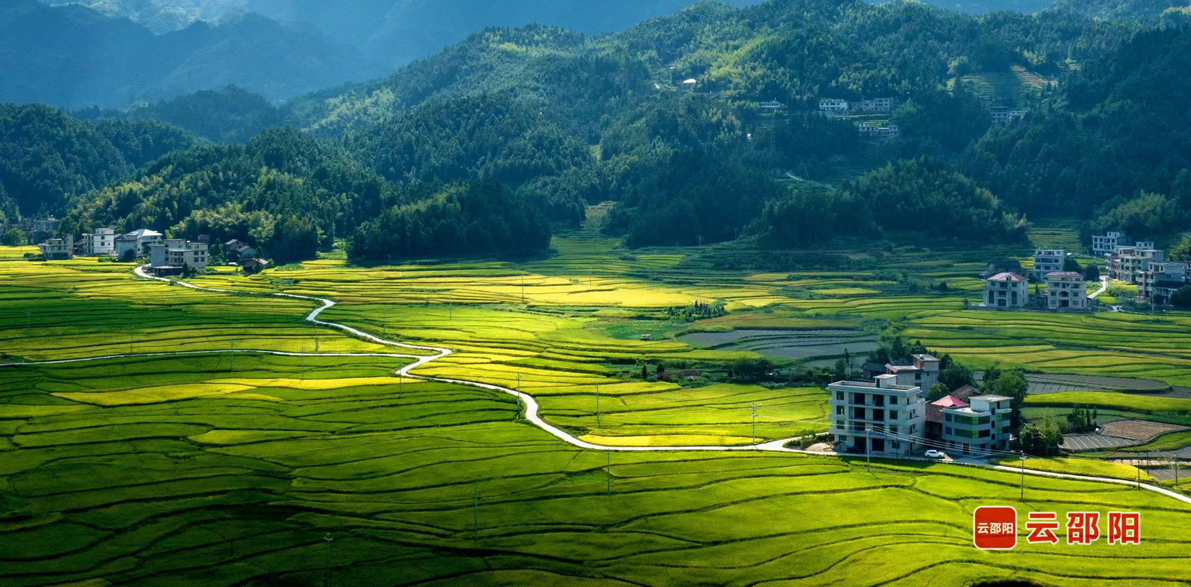 《田园风光》孙中坤 摄