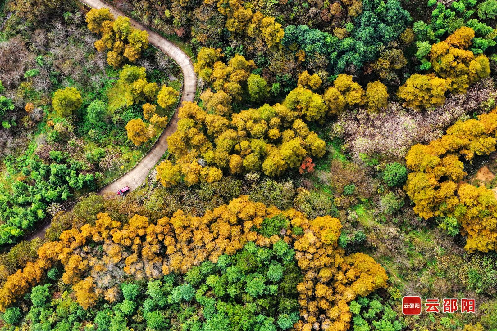 《秋意盎然》朱巨滨 摄
