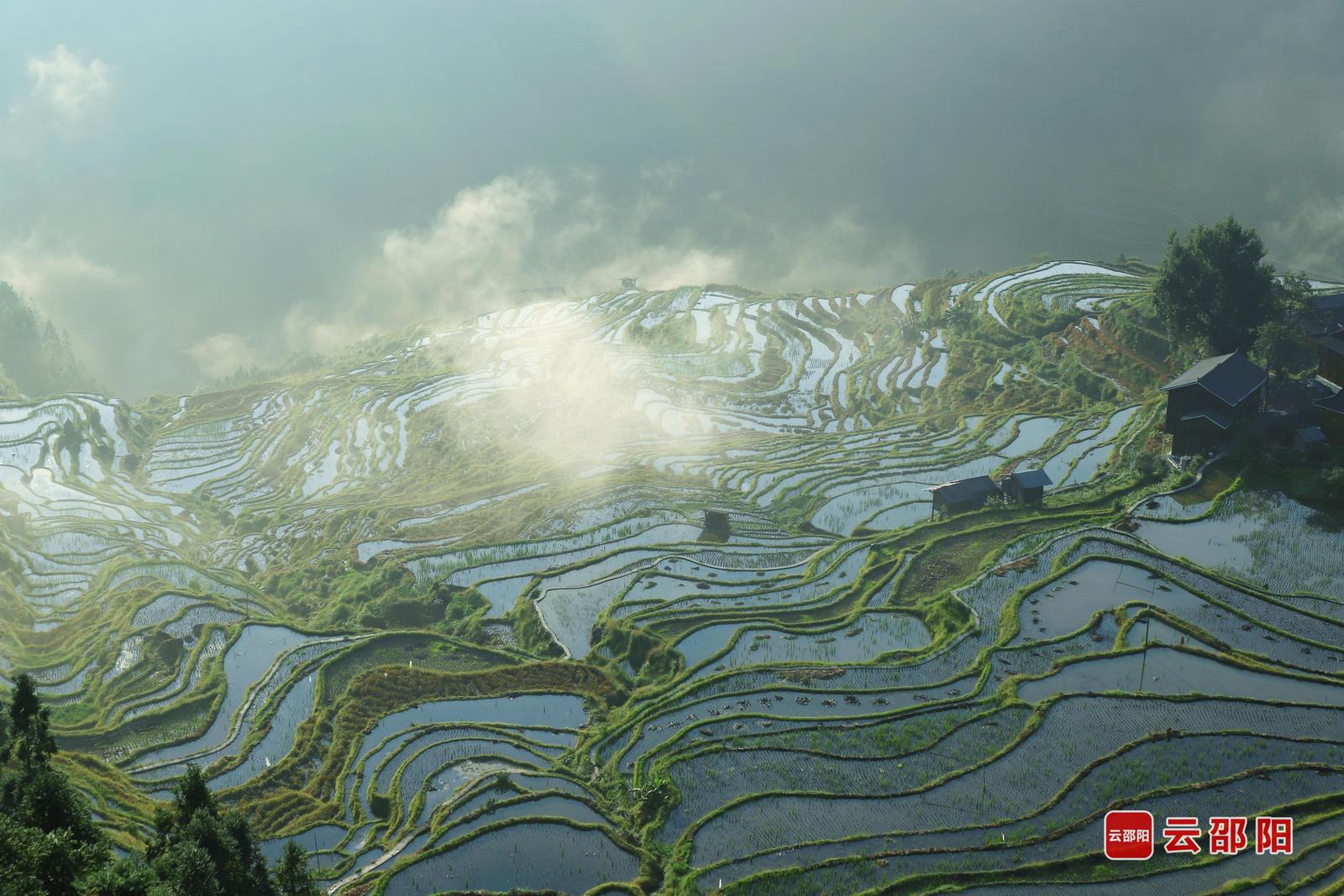 《云上元阳》张素虹 摄