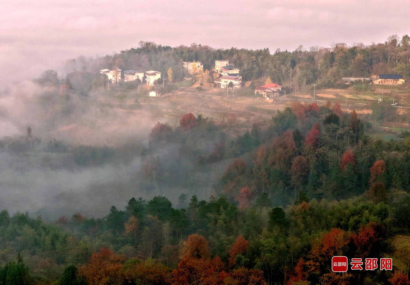 《家园色调》朱巨滨 摄