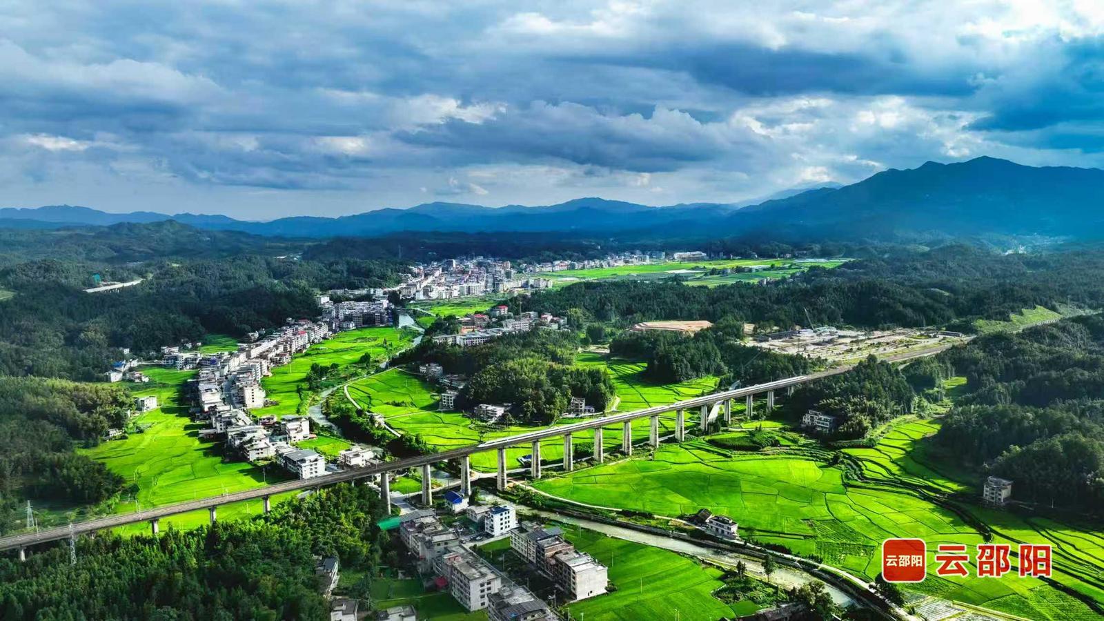 《青山稻海映云天》孙中坤 摄