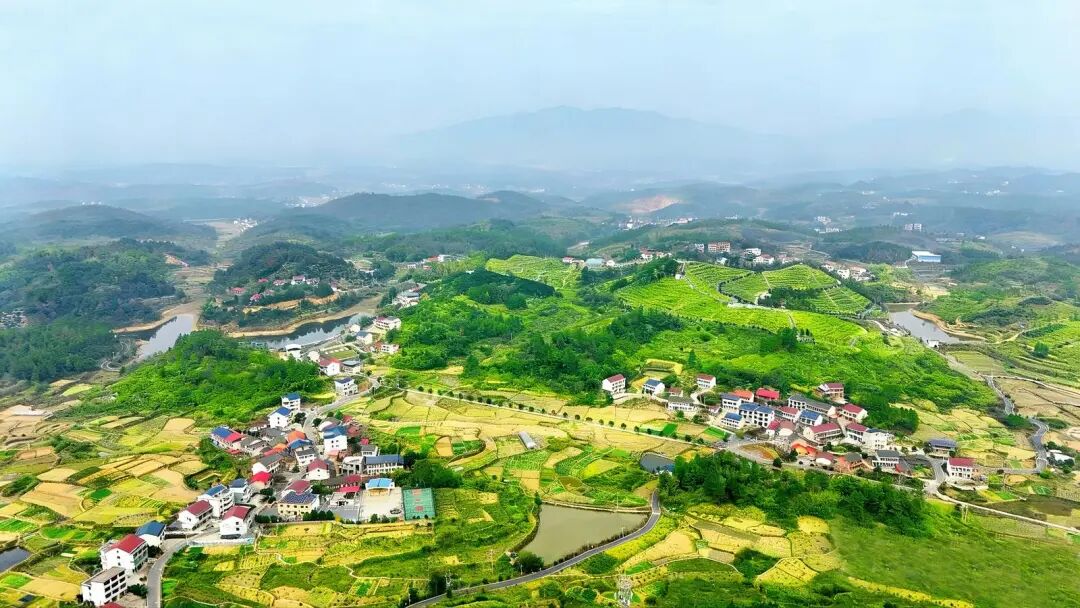 李子塘村。邵阳日报记者申兴刚摄