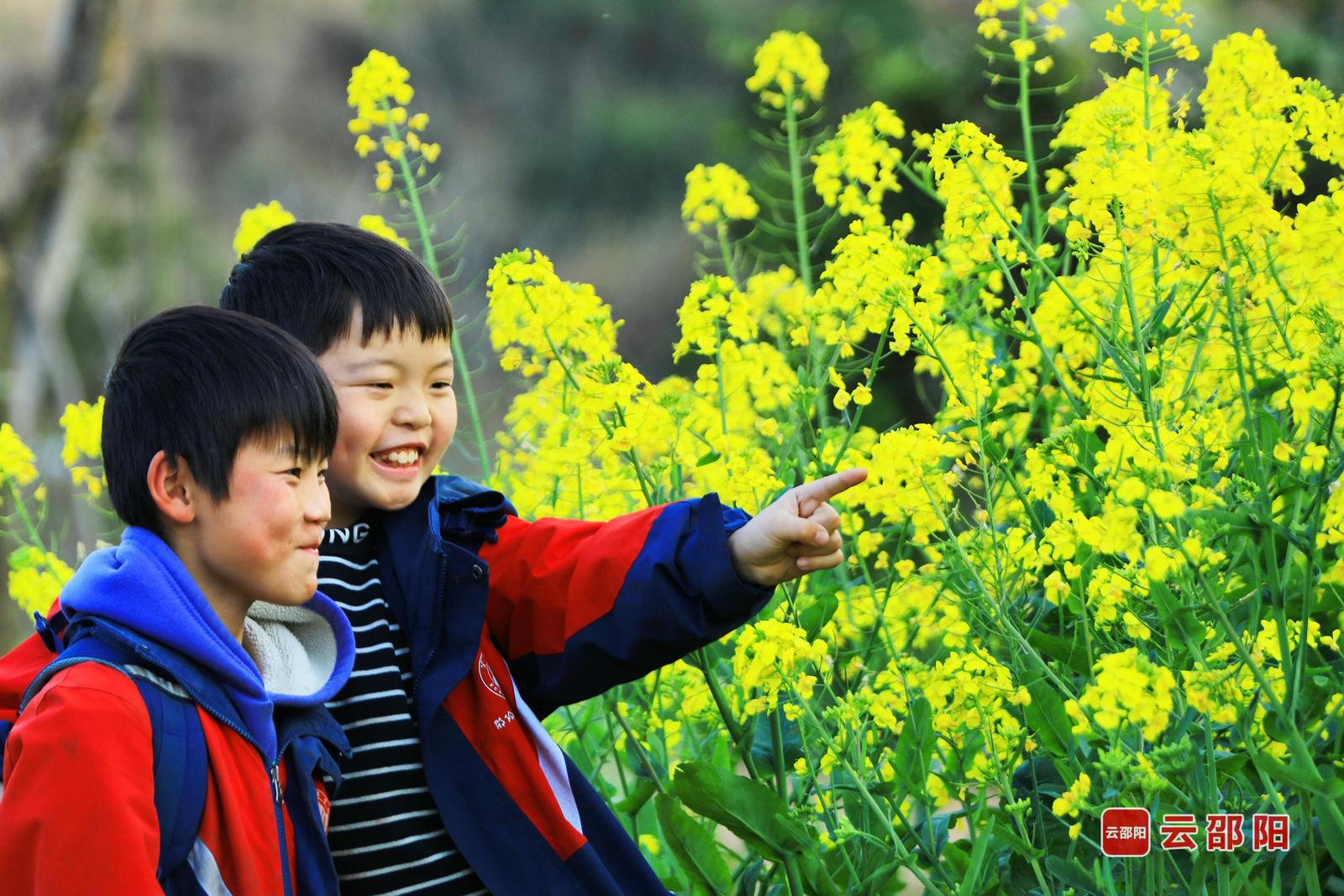花田驻足 杨萍 摄