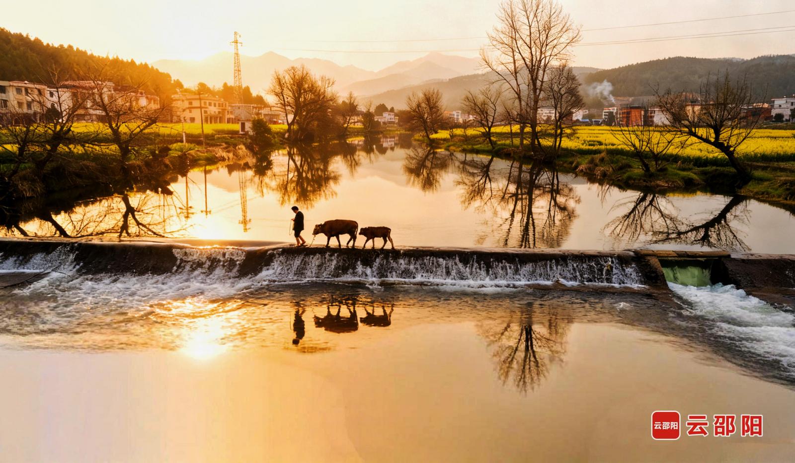 春 韵 孙中坤 摄
