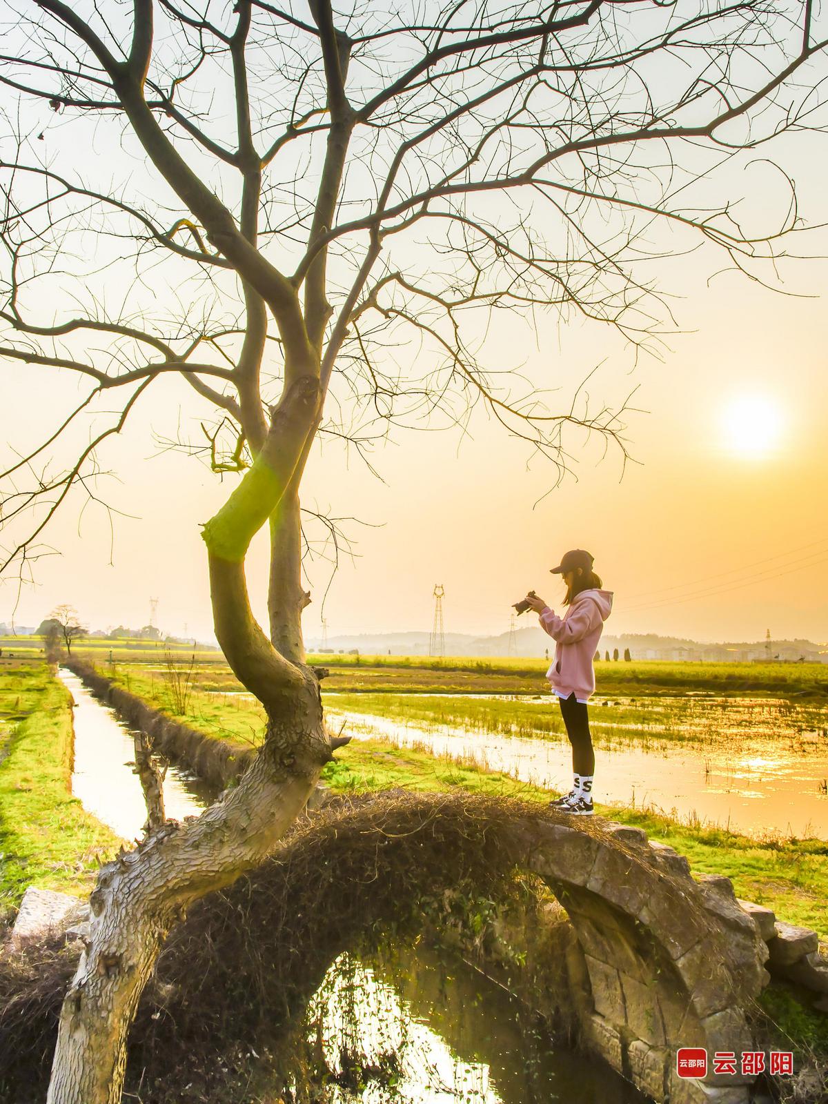 家乡 简扬清 摄