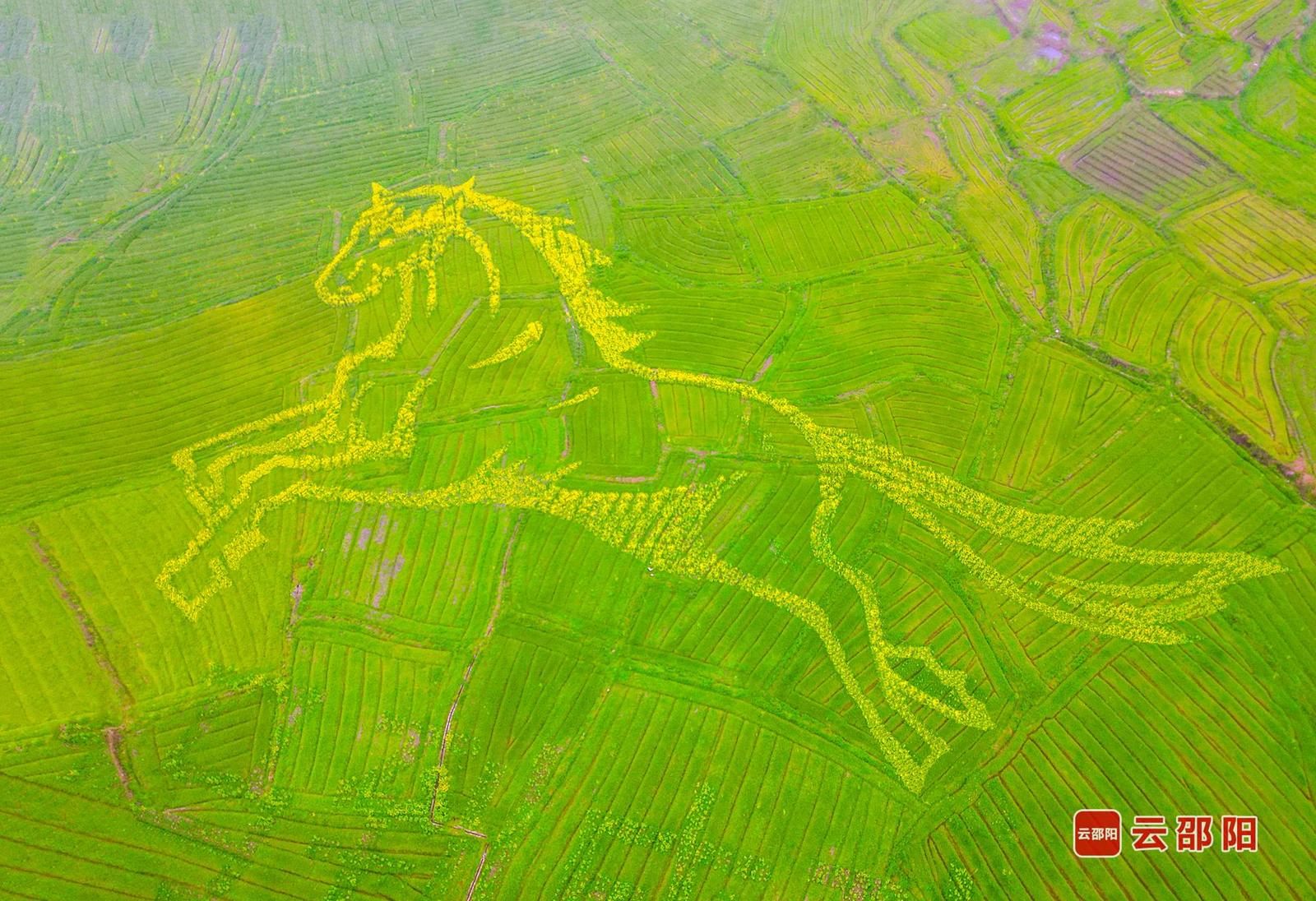 石田花海 郑国华 摄