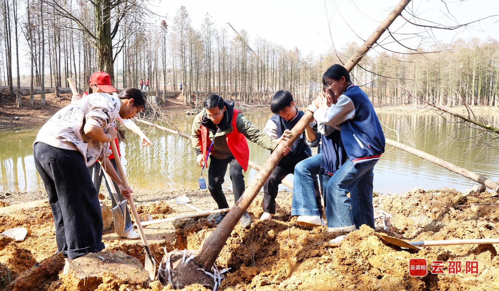 为家园添绿 王萍 摄
